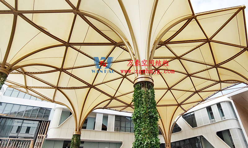 1672023562614022.jpg f.jpg